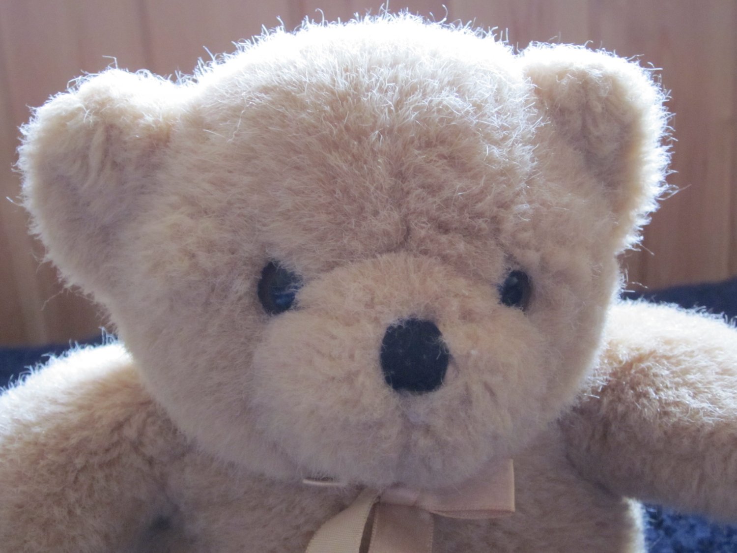 tan teddy bear