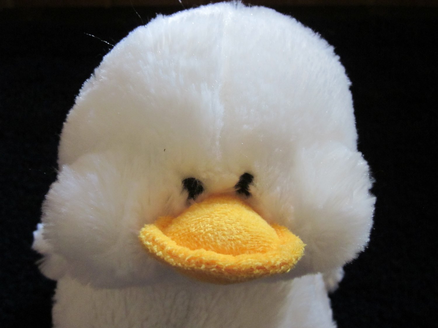 webkinz white duck