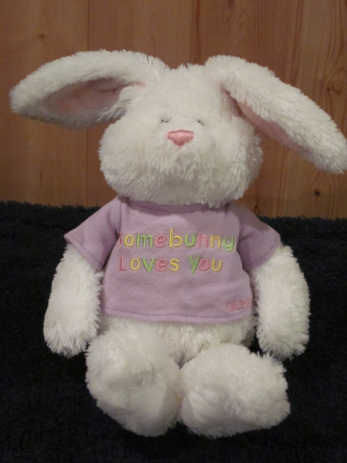 Gund 020996 Bunny Hugs Plush White Rabbit Some Bunny Loves You