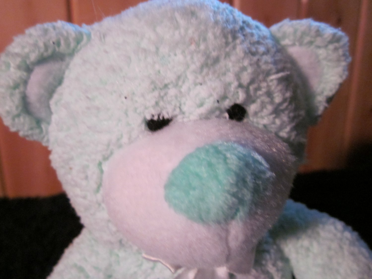 light green teddy bear