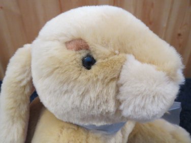 commonwealth stuffed bunny