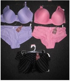 New Plus Size Molded Cup Bra Set - Lavender