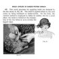 1926 DEVELOPING HATS OF BRAID Hat Making Millinery AZ