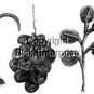 EDWARDIAN MOURNING HATS 1916 Millinery lesson Hat Making AI