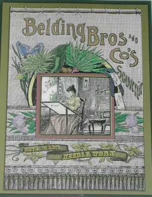 1889 Victorian Embroidery for Parlor Decor BELDING BROS