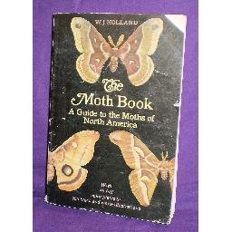 The Moth Book by William Jacob Holland - 1968 PB