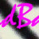 Zebra Print Logo