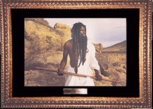 Moses:The Exodus