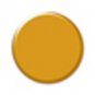 NYX Expose U'R Eyes Liquid Eye Liner! #9 GOLD