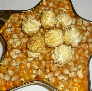MAGIC Mushroom GIANT Kernel Popping Corn 3- 1 lb Bags