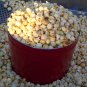 KEIFER'S KETTLE KORN &Acirc;&reg;  2 Gal Holiday Tin! Filled with our Addictive Korn!
