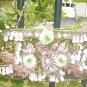 Beautiful BEADED Bag in Sage, Silver & White