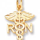 14KT Nurse Charm! Great Gift for your Fav RN!