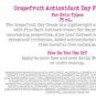 TimeBalm Grapefruit Antioxidant Day Face Cream By The Balm