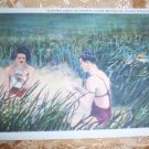 Silver Springs Florida Vintage Postcard