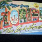 Greetings from Florida Vintage Postcard