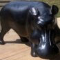 Ebony Hippo
