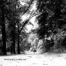 The Runner
