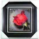 Dripping Rose