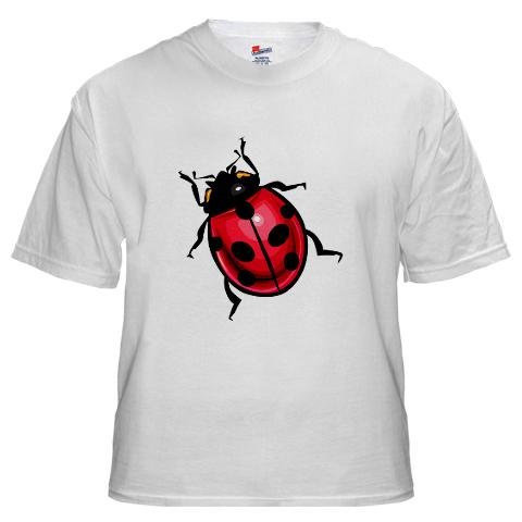 Lady Bug