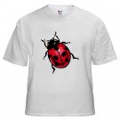 Lady Bug