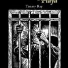The Life and Death of a Playa - Author: Timothy Sawyer