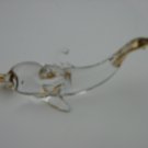 Dolphin Cystal