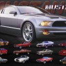 Mustang Evolution