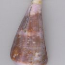 Purple Shell Necklace