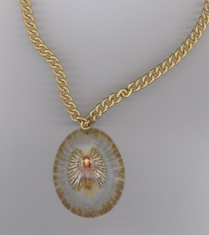 Opihi Angel Shell Necklace