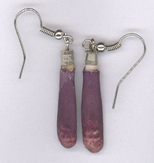 Sea Urchin Shell Earrings