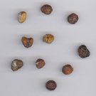 Ghost Beads (Smoked Juniper Berries)