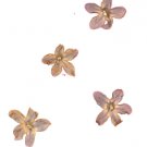 Pressed Lucky 5-Petal Lilacs