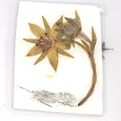 Cute Mouse Drawing w/ Pressed Flower