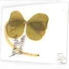 Cute Bunny Drawing w/ 4 Leaf Clover
