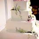 CAKE # 7