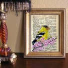 Art Print WATERCOLOR ON BIBLE PAGE AMERICAN GOLDFINCH WISDOM PROMISIS GODLINESS HAPPY GAIN OF WISDOM