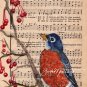 ART PRINT ROBIN "THERE IS ALWAYS HAPPINGESS" RELIGIOUS SPIRITUAL SONG 5X7 BIRD COLLECTION