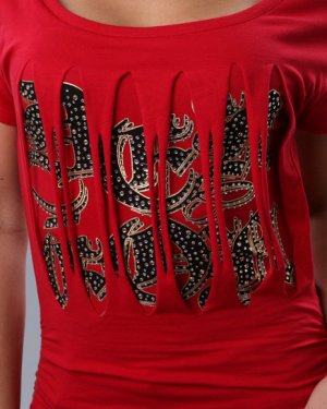 RIPS LOGO TOP