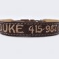 Personalized Leather Dog Collar with plastic buckle by Ruggit Collars (sizes: 8-11) Toy dogs