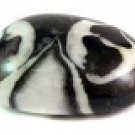 Therapy "Massage" Stones  Fossil "Shell" Jasper-Inspiration 10pcs