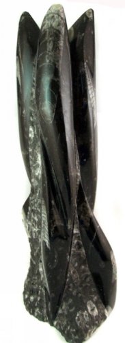 Medium Orthoceras Statue  6 pc. case Wholesale