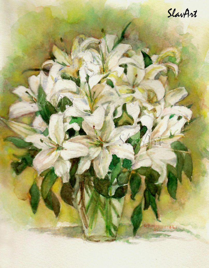 Lilies Watercolor print painting Fine art Realistic white garden flowers Home decor Illustration