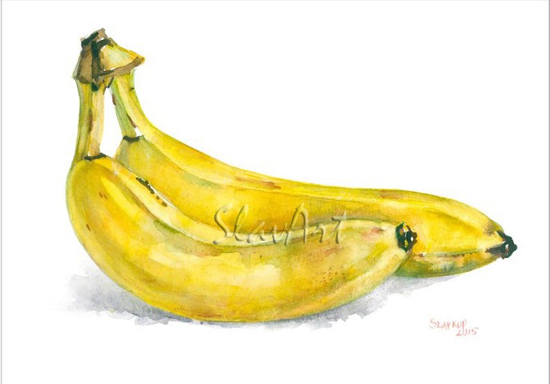 Bananas Fruit Art Still Life Food Print Watercolor Decor Kitchen art