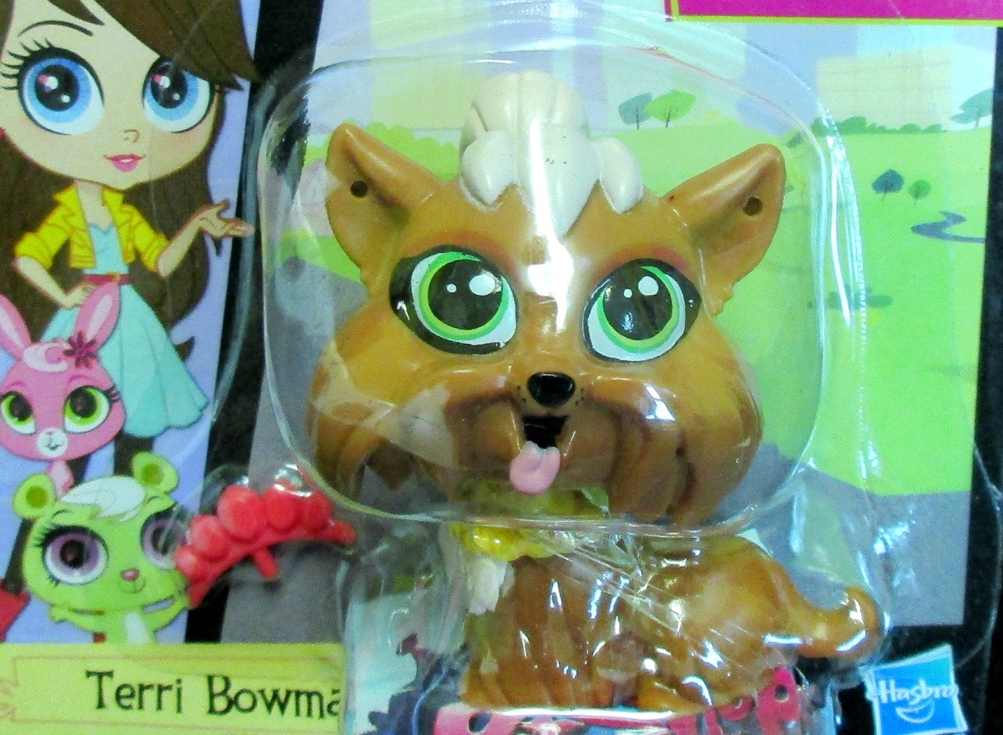 Littlest Pet Shop Yorkie Dog LPS Toy Collectible Figure Yorkshire Terrier Puppy Terri Bowman