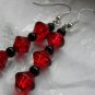 Red Hot Earrings