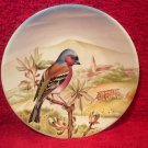 Beautiful Vintage French Sarreguemines Faience Chickadee Bird Plate, ff380