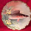 Large Antique Hand Painted Signed Wall Eye Pike Fish Wall Plaque Platter, L303