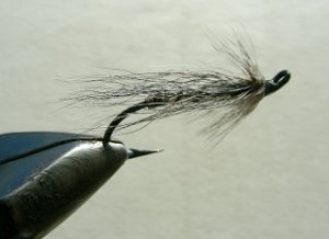 Salmon Fly f11