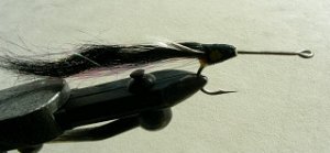 Pike Musky Baracuda Fly f15